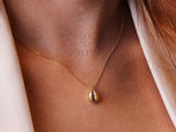 14K Gold Sea Shell Necklace, Cowrie Sea Shell Charm