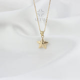 14K Gold Star Necklace, Small Star Pendant